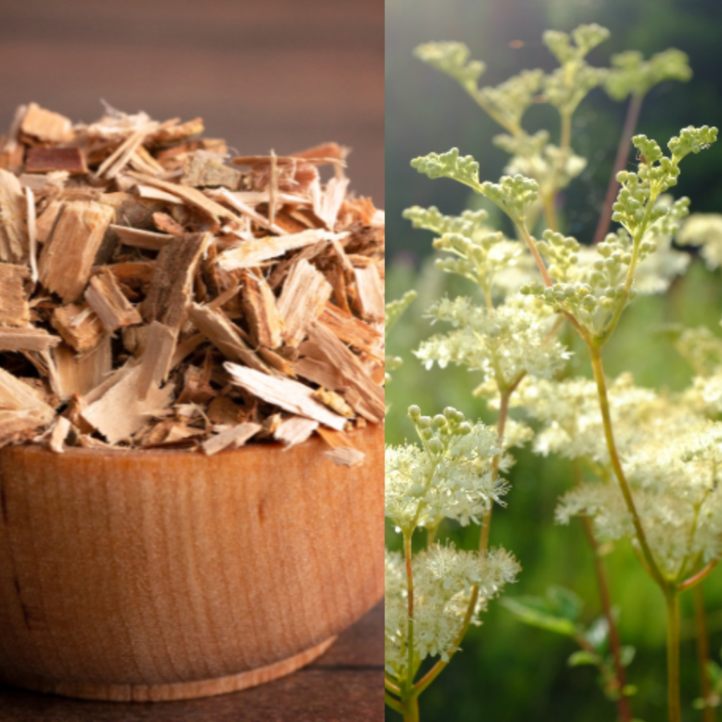 Picture of willow bark next to meadow sweet for survival remedies