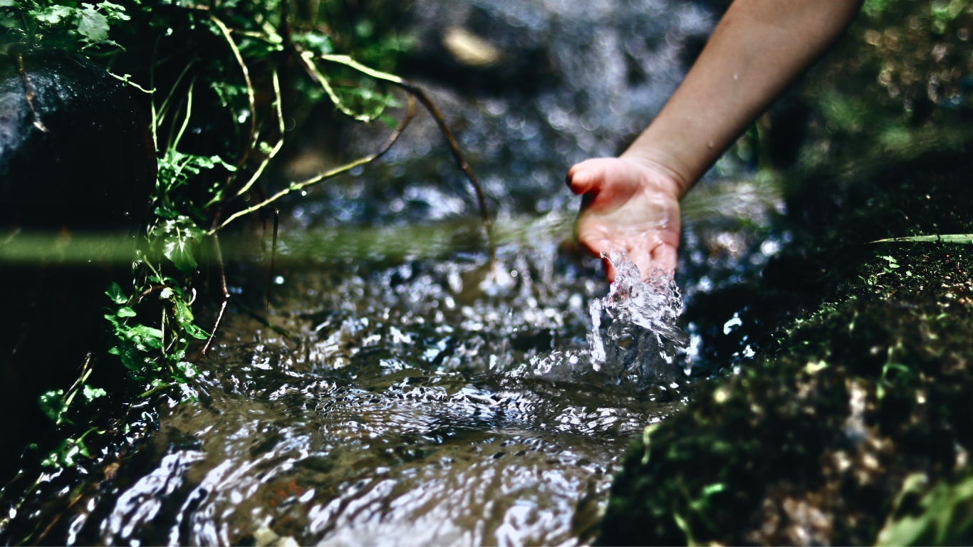 How to Purify Water in Survival: Essential Techniques for Clean Drinking Water